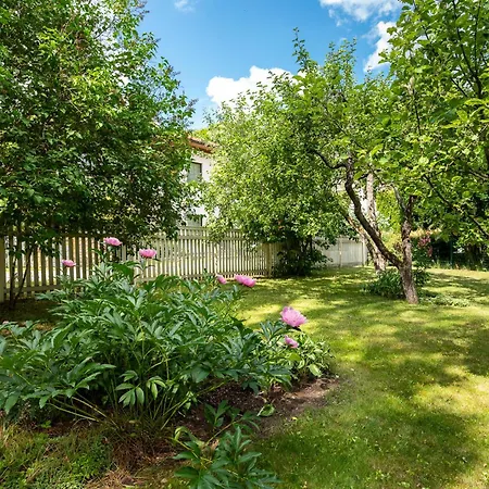 Park By Rikas Tallin