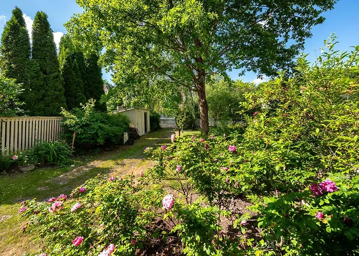 Park By Rikas Tallin